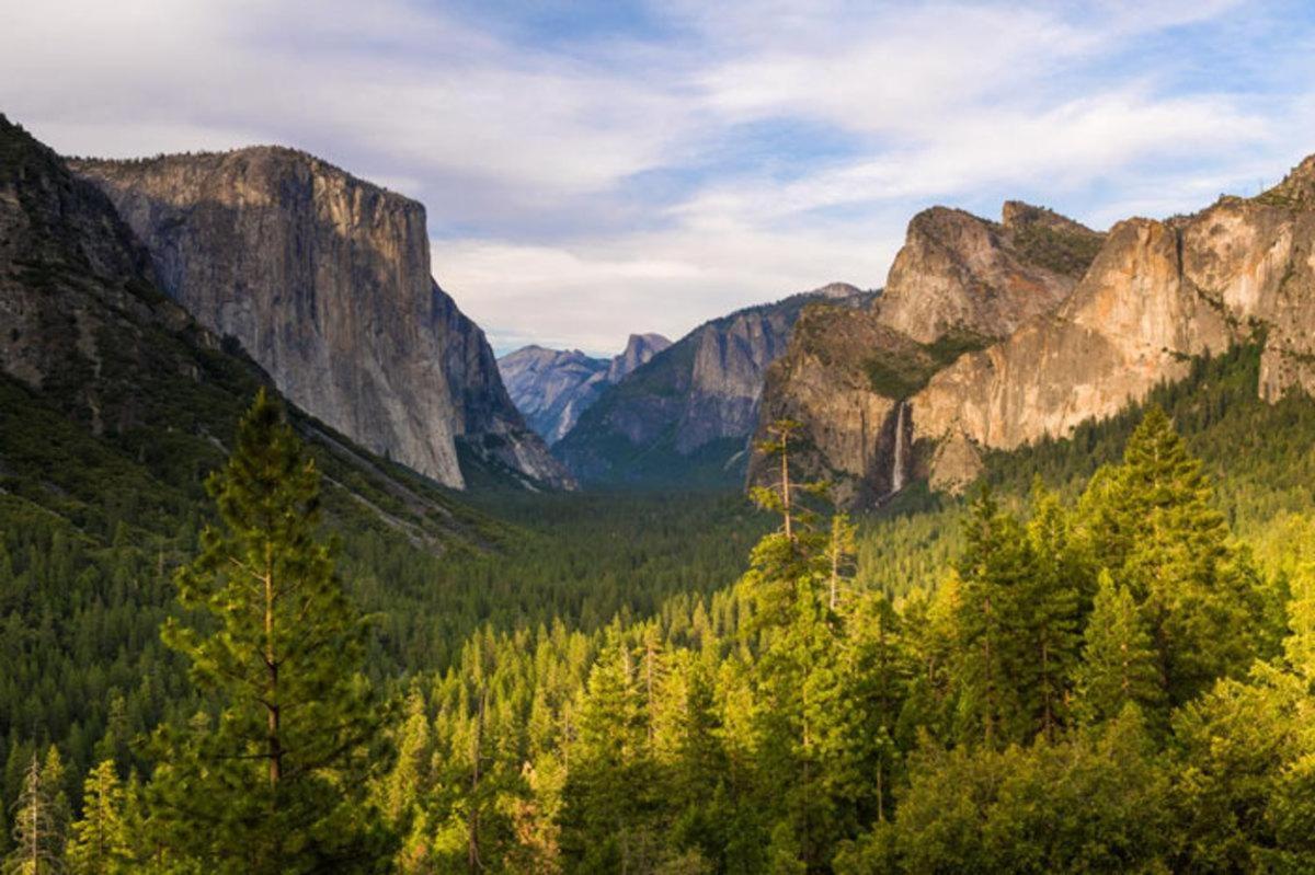 Cozy Bear South-Inside Yosemite National Park Villa Йосемити Уест Екстериор снимка